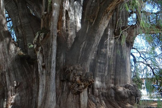 Tour image 11